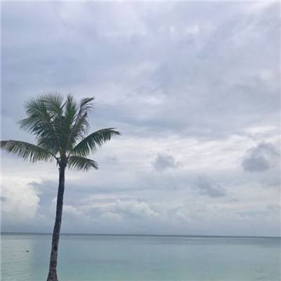 博雅体育app下载官网手机版